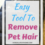 Title Easy Tool To Remove Pet Hair