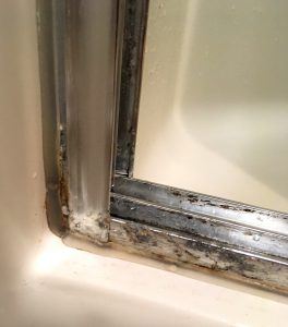 After cleaning the outside of the shower door track - #finallyclean #cleanmyshowerdoors