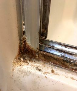 Shower Door Tracks Calcium Buildup #showerdoordirt #showertrackcalciumdeposit